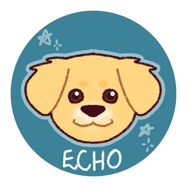 Echo's Mystic Gear